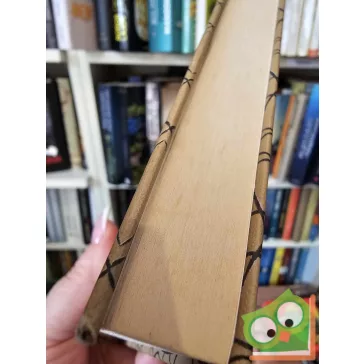 Karinthy Frigyes: Egy nőt szeretni (Kossuth Kiadó 9.)