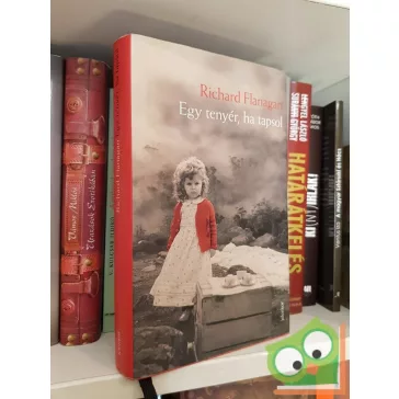 Richard Flanagan: Egy tenyér, ha tapsol