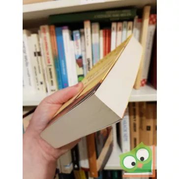 Khaled Hosseini: Egyezer tündöklő nap (Ritka)