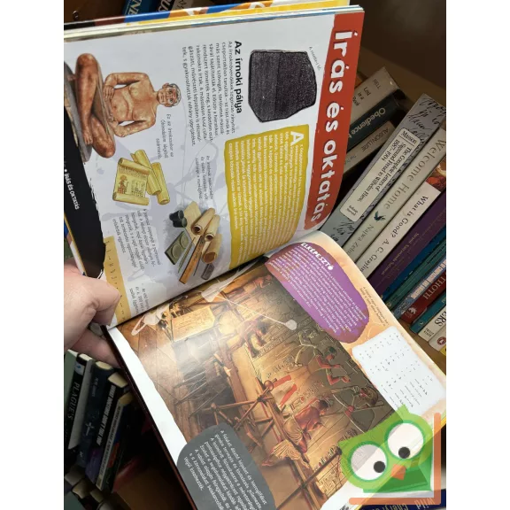 Egyiptom (Elképesztő világ)