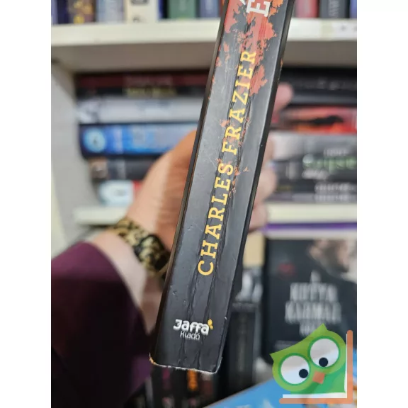 Charles Frazier: Éjjeli erdő