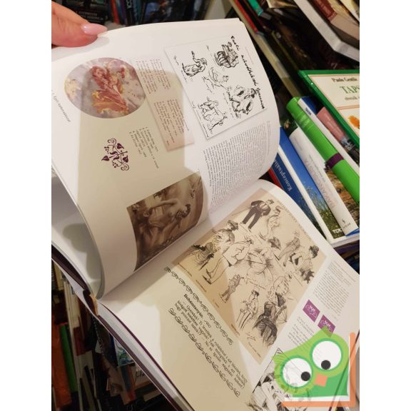 Császtvay Tünde: Éjjeli lepkevadászat (ritka)