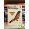 Tóth Loránd: Ejtőernyők, siklószárnyak (Kolibri könyvek)