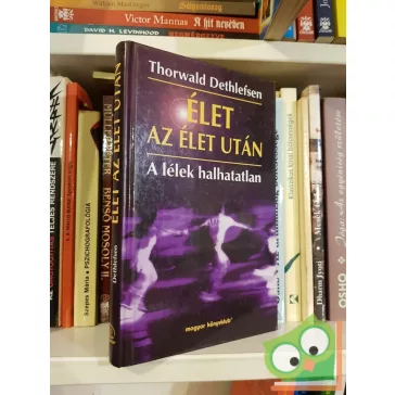 Thorwald Dethlefsen: Élet az élet után