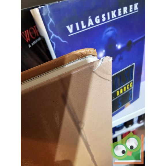 Bodó Imre (szerk.): Eleven örökség