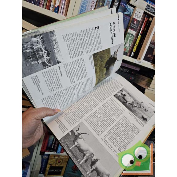 Bodó Imre (szerk.): Eleven örökség