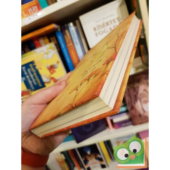 Elisabetta Gnone: Grisam kapitány és a szerelem (Fairy Oak) (Nagyon ritka)