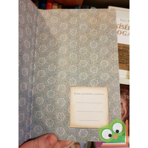 Elisabetta Gnone: Grisam kapitány és a szerelem (Fairy Oak) (Nagyon ritka)