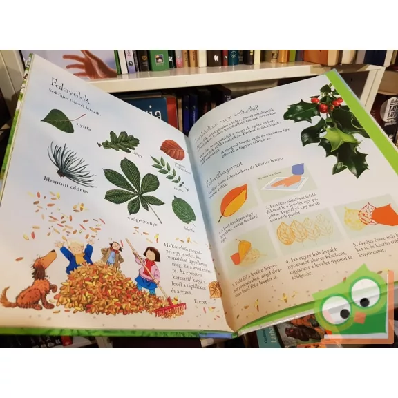 Minna Lacey: Első természetkönyvem – Mesék a tanyáról