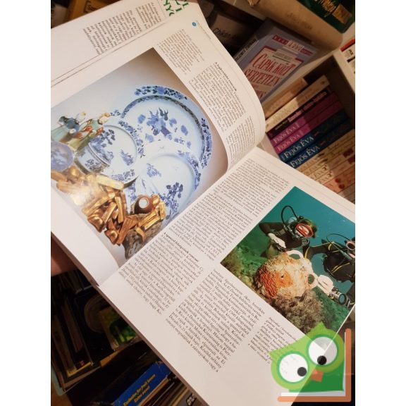 Michael Groushko: Eltűnt kincsek nyomában