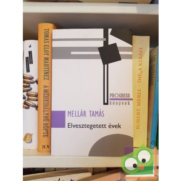 Mellár Tamás: Elvesztegetett évek