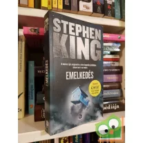 Stephen King: Emelkedés