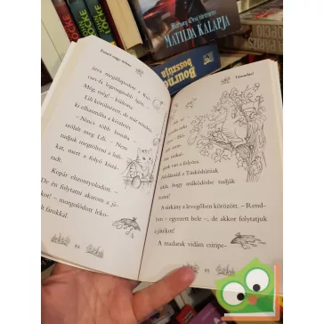   Daisy Meadows: Emmi nagy ötlete (Varázslatos Állatbirodalom 6.)