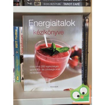 Maria Constantino: Energiaitalok kézikönyve