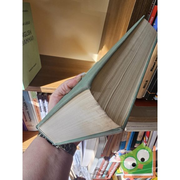 Budai László: English Syntax