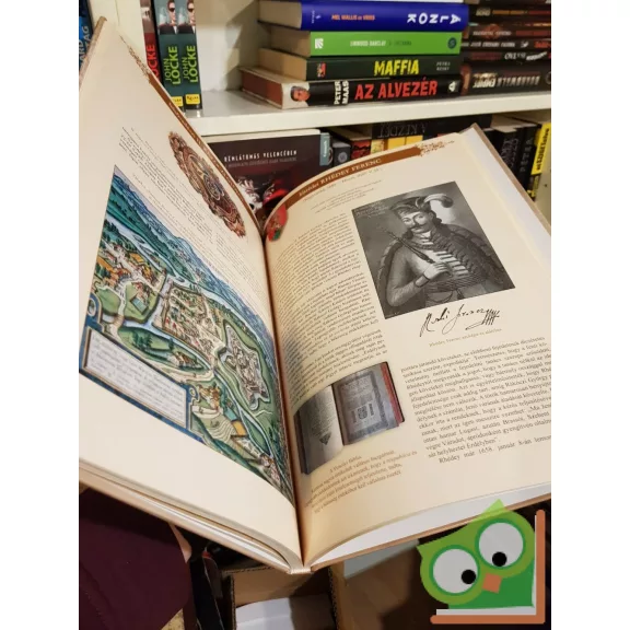 Papp Klára: Erdélyi fejedelmek