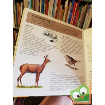 Schmidt Egon, Veres László: Az erdők élővilága