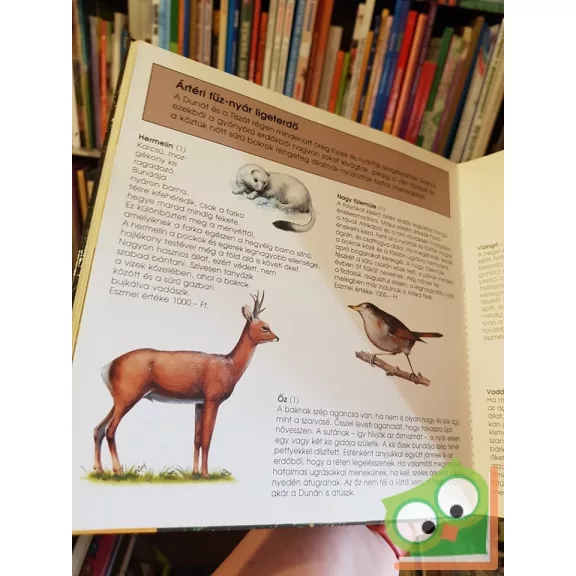 Schmidt Egon, Veres László: Az erdők élővilága