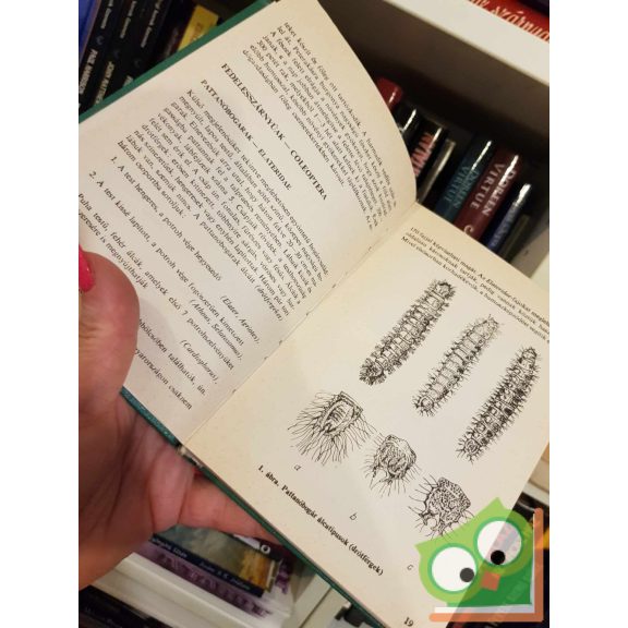 Szontagh Pál - Tóth József Erdővédelmi útmutató (ritka)