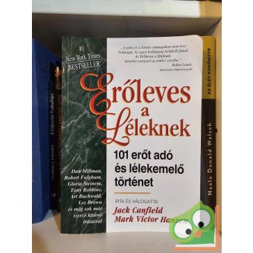 Jack Canfield - Mark Victor Hansen: Erőleves a léleknek