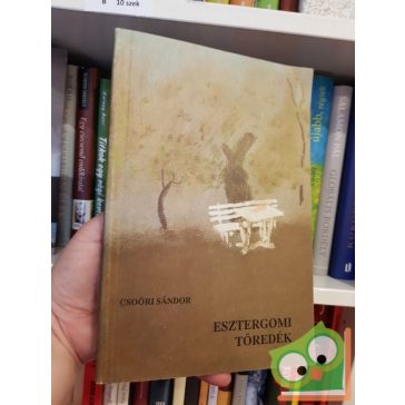 Csoóri Sándor: Esztergomi töredék