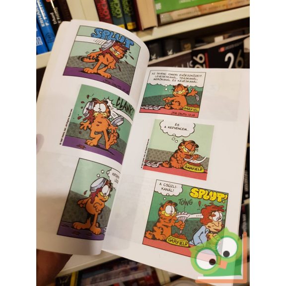 Jim Davis: Zseb-Garfield 68. Ez már fánk mennyország?
