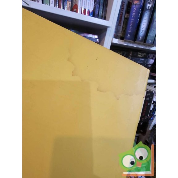 Miroslav Sasek: Ez New York