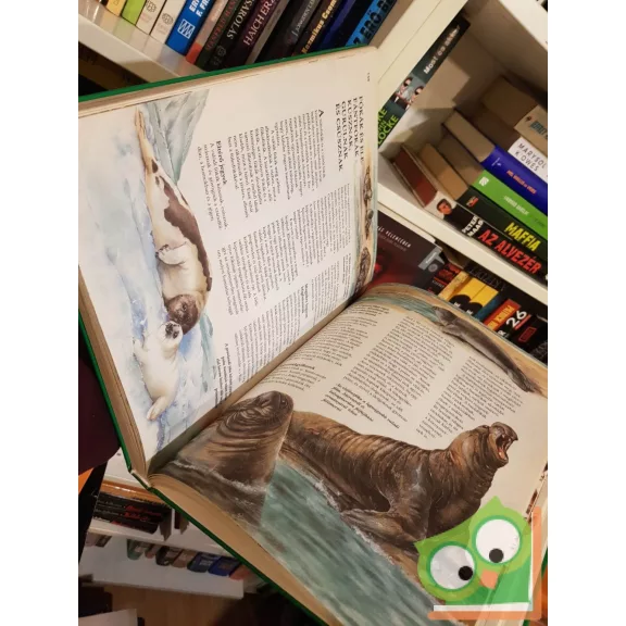 Ursula Dolder - Willi Dolder: Ezerarcú állatvilág