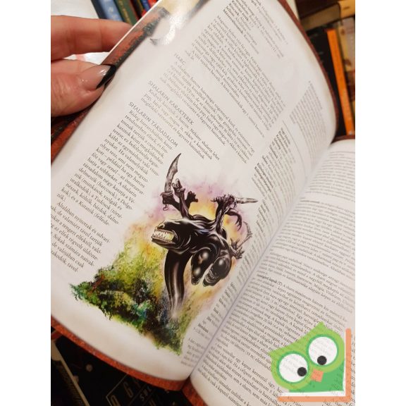 James Wyatt - Rob Heinsoo: Faerűn szörnyei (Dungeons & Dragons 3. kiadás)