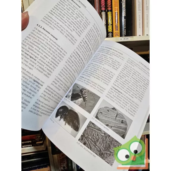 Veres Réka: Faipari anyagismeret (GS-4-16)