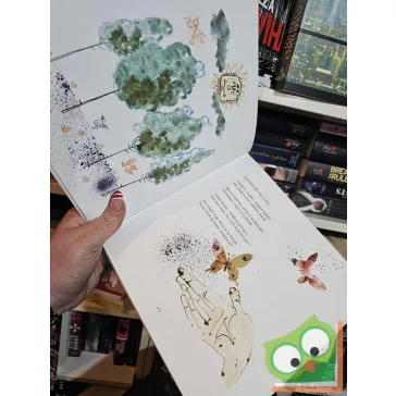 Fecske Csaba: Tolvaj szél