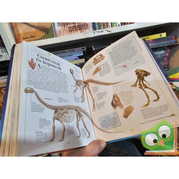 Fedezd fel a Világot! - Természet