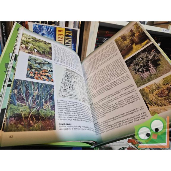 Ledó D. Hajnalka (szerk.): Fedezzük fel!