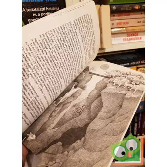 Farkas Jánosné Zsóka néni: Fehérke