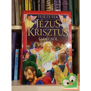   Bácsi Gy. Antal (szerk.): Fejezetek Jézus Krisztus életéből