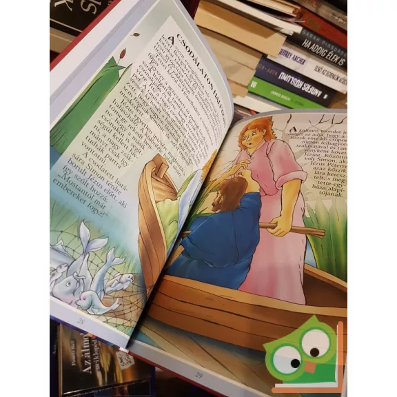 Bácsi Gy. Antal (szerk.): Fejezetek Jézus Krisztus életéből