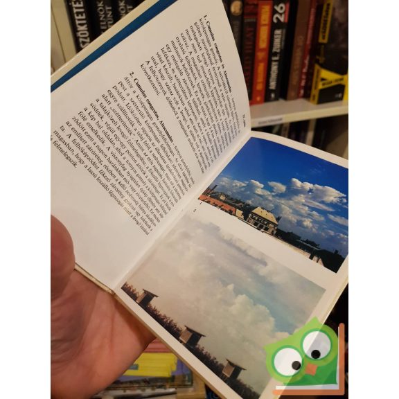 Koppány György: Felhők (Búvár zsebkönyvek)