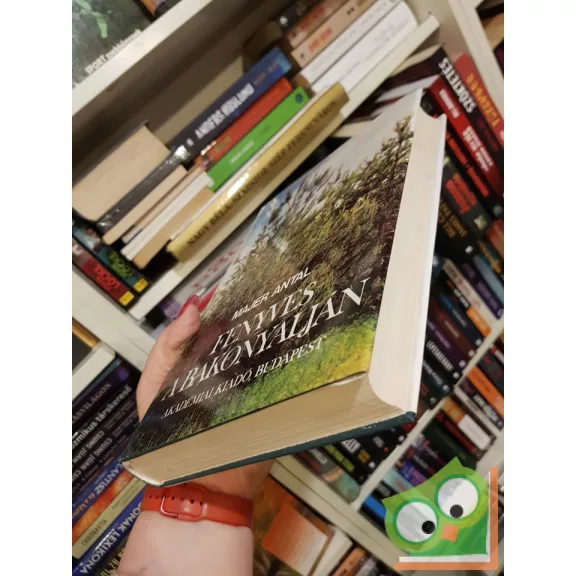 Majer Antal: Fenyves a Bakonyalján