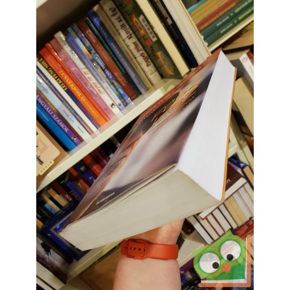 Bartus László: Fesz lesz