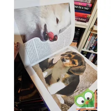 Angelica Roberts: Fiatal kutyagazdik kézikönyve