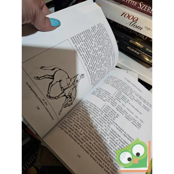 Reiner Klimke: A fiatal hátasló alapkiképzése (Lovasakadémia 1.) (ritka) (sérült)