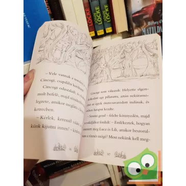   Daisy Meadows: Fifi bátor küldetése (Varázslatos Állatbirodalom különkiadás 1.)