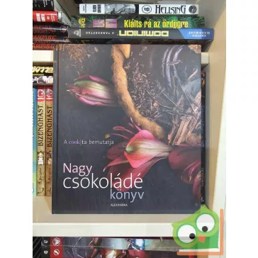 Filep Kata: Nagy csokoládé könyv