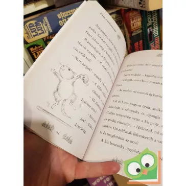   Daisy Meadows: Finci, a mókamester (Varázslatos Állatbirodalom 14.)