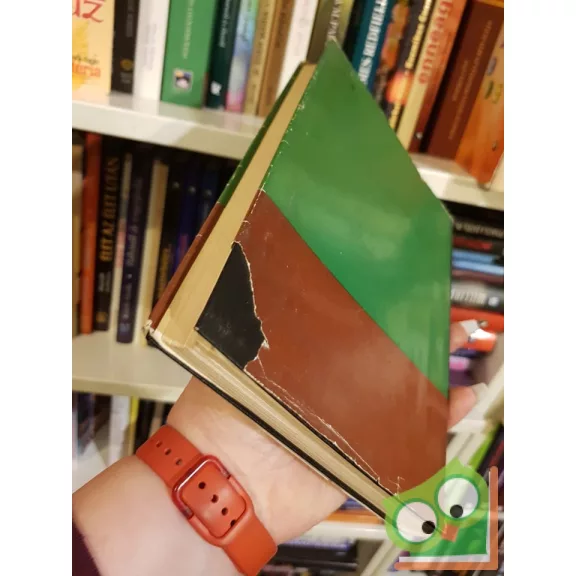 George Gamow: A fizika története  (Ritka!)