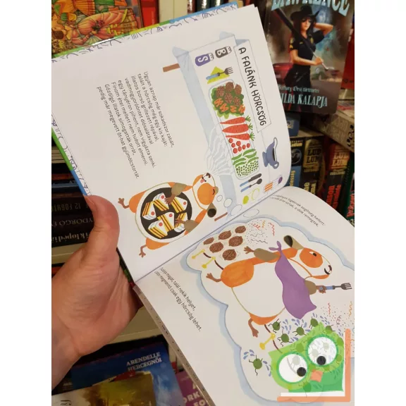 Boncsér Orsolya: Fogd rá a jetire! (Nokedli mesék 1.)