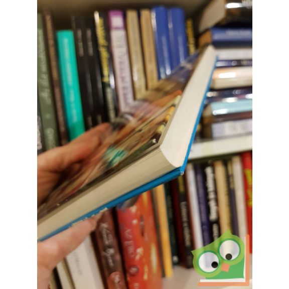 Bakk József: Fogtechnika