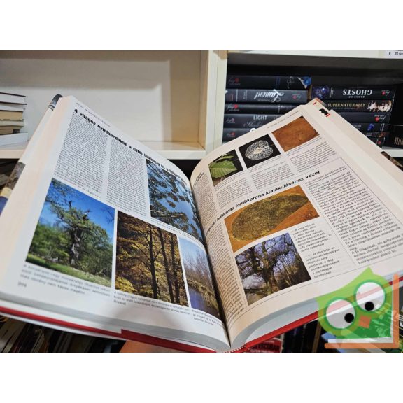 Felix R. Paturi: A Föld krónikája