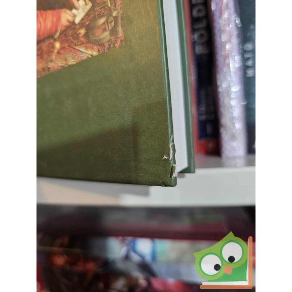 Földes Gábor (szerk.): Pénzügyi jog (Osiris tankönyvek)