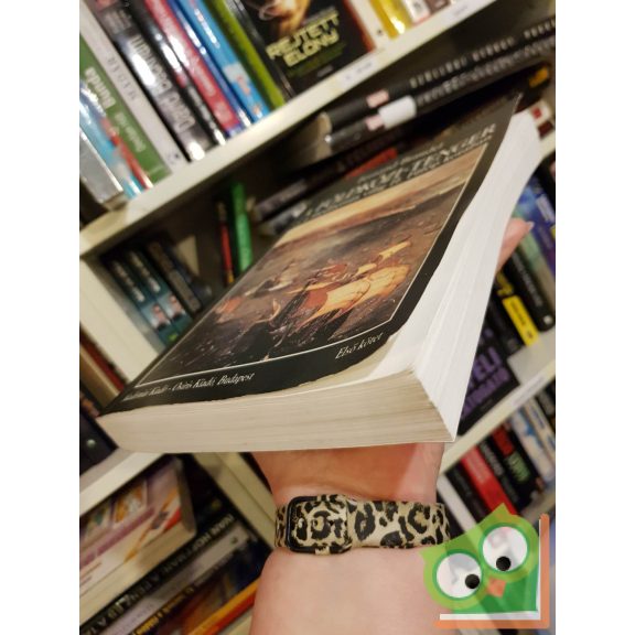 Fernand Braudel: A Földközi-tenger és a mediterrán világ II. Fülöp korában I. kötet (ritka)